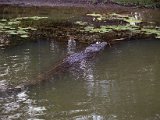 12Kakadu_NP