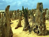 22Pinnacles_Desert