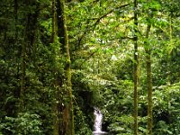 03Rincon_de_la_Vieja_NP