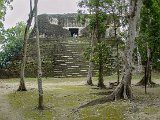 13 Tikal