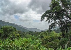 Blick_Veranda_Asa_Wright_Nature_Center