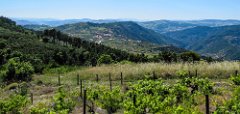 Gegend_Douro03