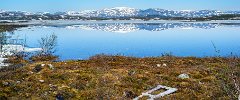 Torneträsk_und Berge09