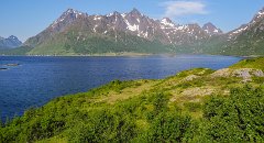 Lofoten_Austnesfjorden_E10_02