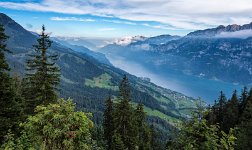 Blick_Walensee