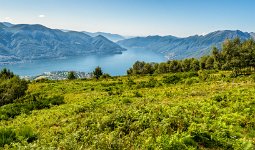 Blick_Lago_Maggiore