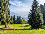 Brüggelekopf_Blick_Osten_Lingenau_h