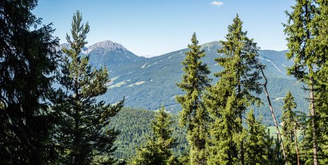 50_Wanderung_Rammelstein