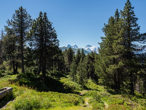 Aufstieg Hohgant Blick Eiger Mönch Jungfrau