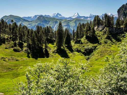 Aufstieg Hohgant Blick Wetterhorn Schreckhorn Finsteraarhorn