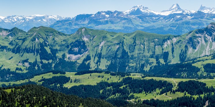 Hohgant Blick Wissigstock Titlis bis Jungfrau